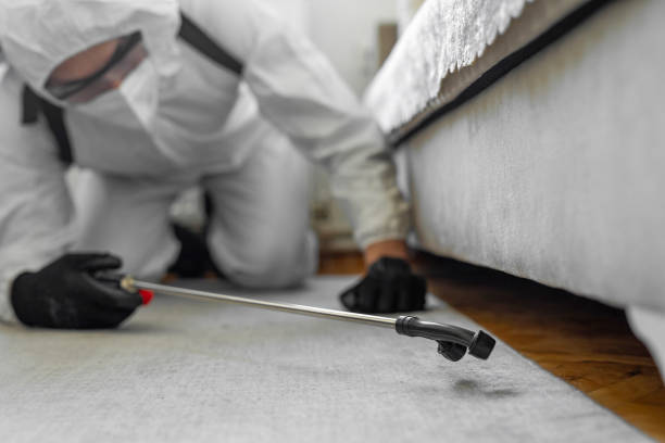 Professional Termite Control technician working in Brookhaven, WV