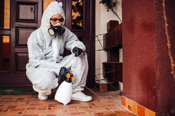Reliable Termite Control contractor in Brookhaven, WV by Nex Pest Control
